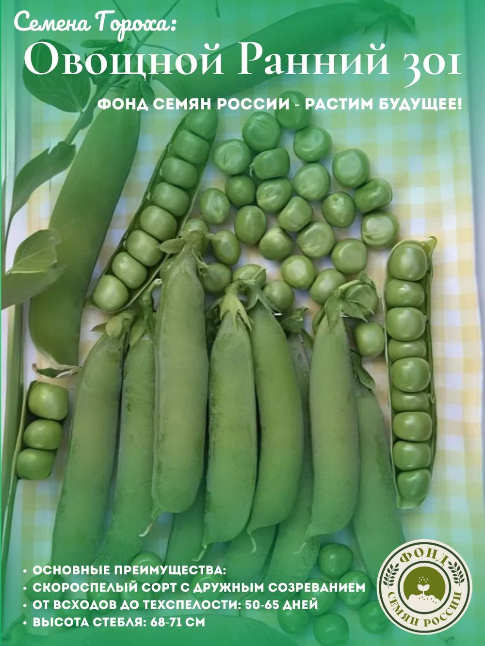 Горох Овощной, Все фиолетово, семена, 10 гр.