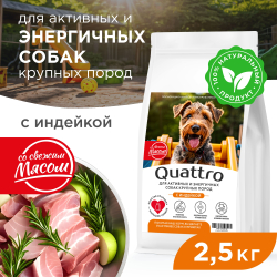 Корм сухой для взрослых собак крупных пород, премиум полнорационный комплекс, для активных и энергичных собак, с индейкой, 2,5 кг, QUATTRO