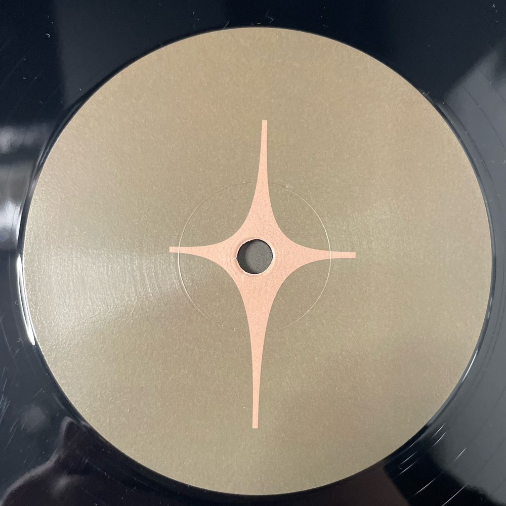 Виниловая пластинка LP The Pretty Reckless Other Worlds (Европейский Союз 2023)