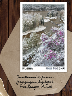 Моя Россия. Весна (выпуск №2, 2023)