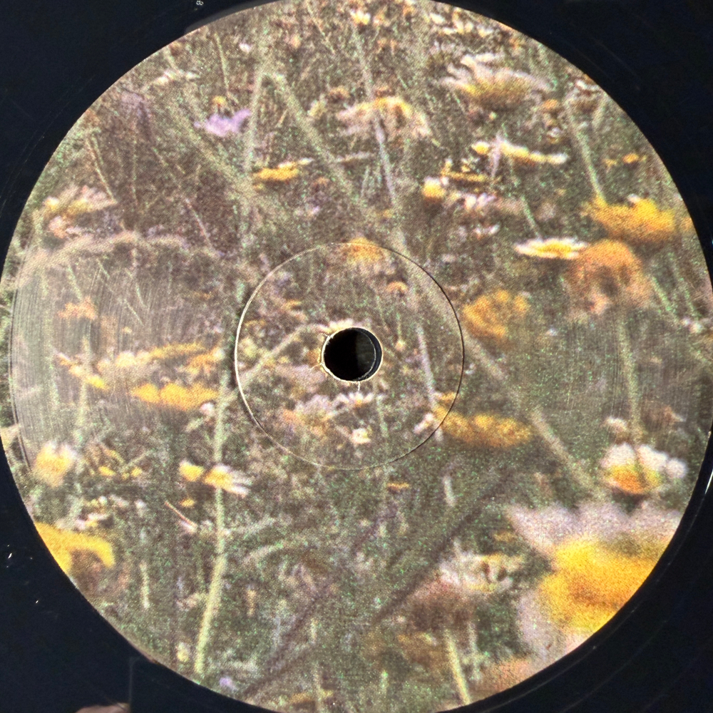 People Skills ‎– Tricephalic Head (США 2014г.)