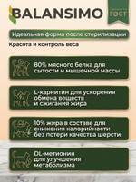 Сухой корм холистик для стерилизованных кошек и кастрированных котов Balansimo Holistic Sterilized Adult Cat индейка с ягодами 2 кг
