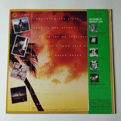Винтажная виниловая пластинка LP Eddy Grant Going For Broke (Japan 1984) (Obi)