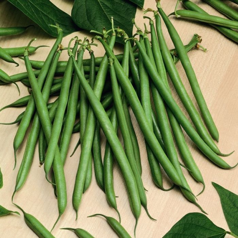 Фасоль Месси 5 гр. Мировые Семена VITA GREEN