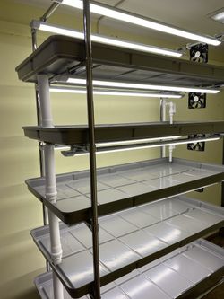 Гидропонная установка HydroBoss 5.0
