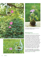 Moss Ball Bonsai: 100 Simple Kokedama Gardens That Are Easy and Fun to Make