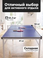 Теннисный стол DFC RayChee 60&amp;quot; 150 x 67 см