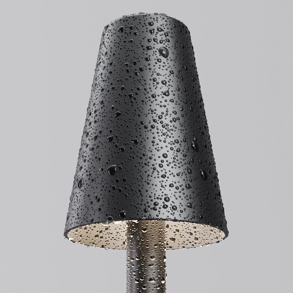 Наземный низкий светильник Maytoni Outdoor Тростник O504FL-L1B3K1