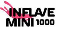 Купить Mini 1000