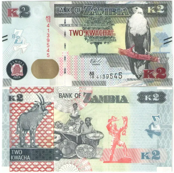 2 квача 2018 Замбия 2 квача 2018 Замбия