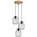 IL1011-3P-05 BK светильник потолочный ILLUMICO, E27х3