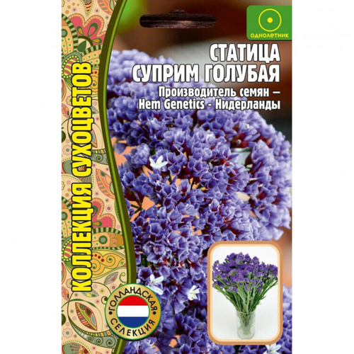 Статица суприм голубая