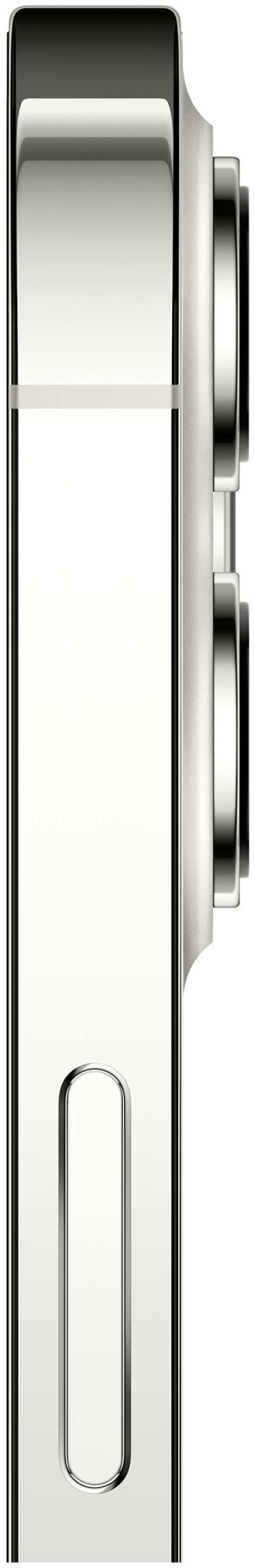 Смартфон Apple iPhone 12 Pro Max 256 ГБ, nano SIM+eSIM, серебристый