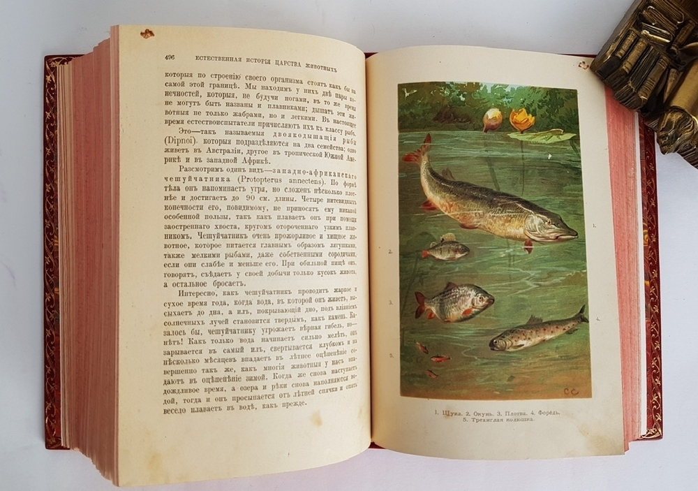 "Иллюстрированный Мир Животных". Проф. В.Маршалль. 1914 г.