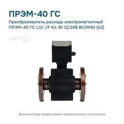 Преобразователь расхода электромагнитный ПРЭМ-40 ГС L0/-/F Кл. B1 12/24В Bt/ИМИ (К2)