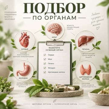 ПОДБОР ПО ОРГАНАМ