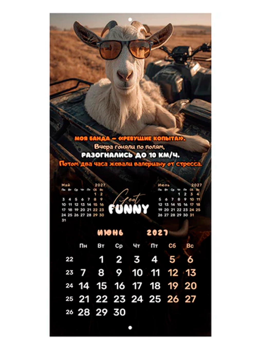 Календарь настенный "Goat calendar", 2027г.