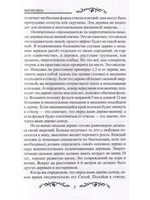 Магия леса