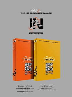 Альбом Stray Kids - In (In Life) 1st Album Repackage NORMAL 2 Version SET