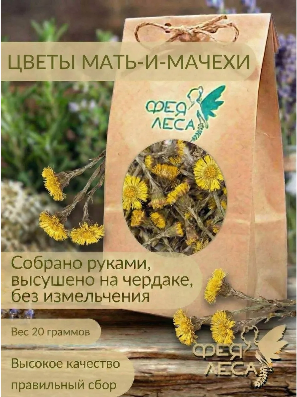 Мать-и-мачеха цветы для здоровья и творчества