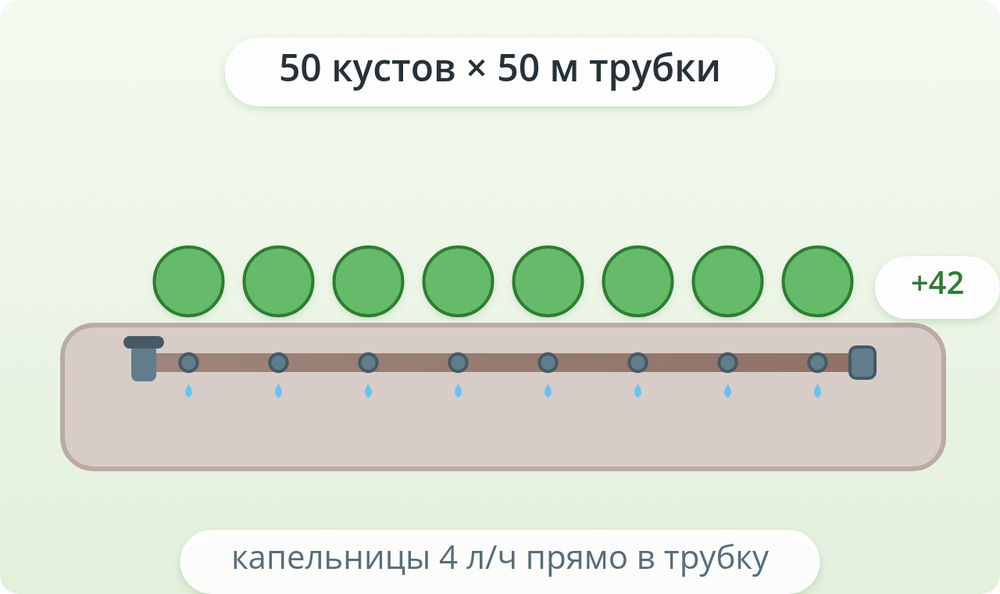 Схема: hedge-100