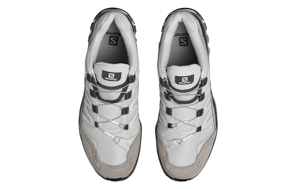 SALOMON XA Comp Ltr Adv "Lunar Rock" / L00