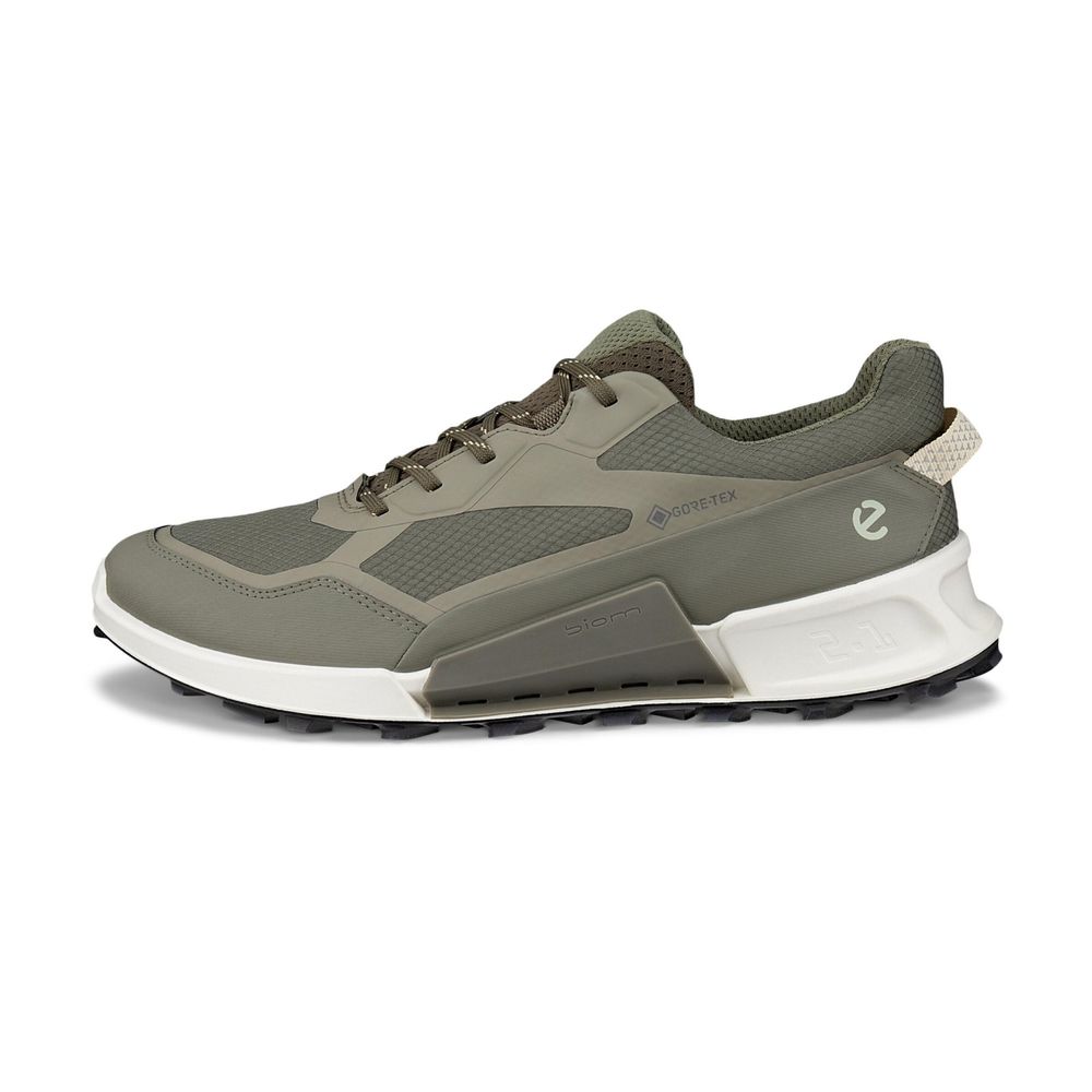 Кроссовки мужские ECCO BIOM 2.1 X MOUNTAIN M