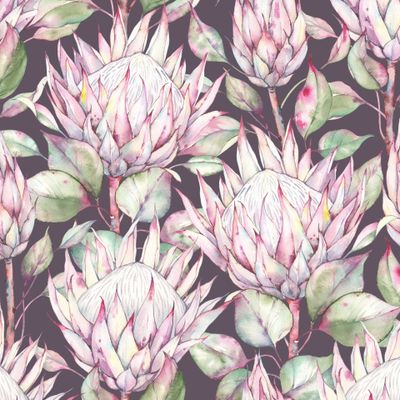Протеа на коричневом - Protea on brown