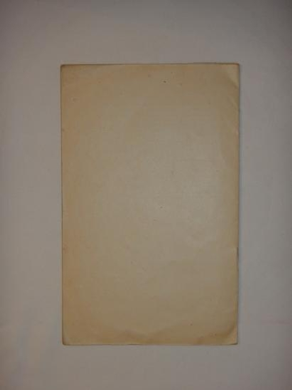 "Звёздный бык". Сергей Есенин, Александр Кусиков. 1921 г.