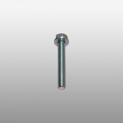 0736.300.519 - Болт М8*55*1,25