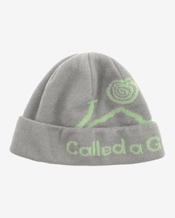 Шапка Pathway Logo Beanie серый / мятный