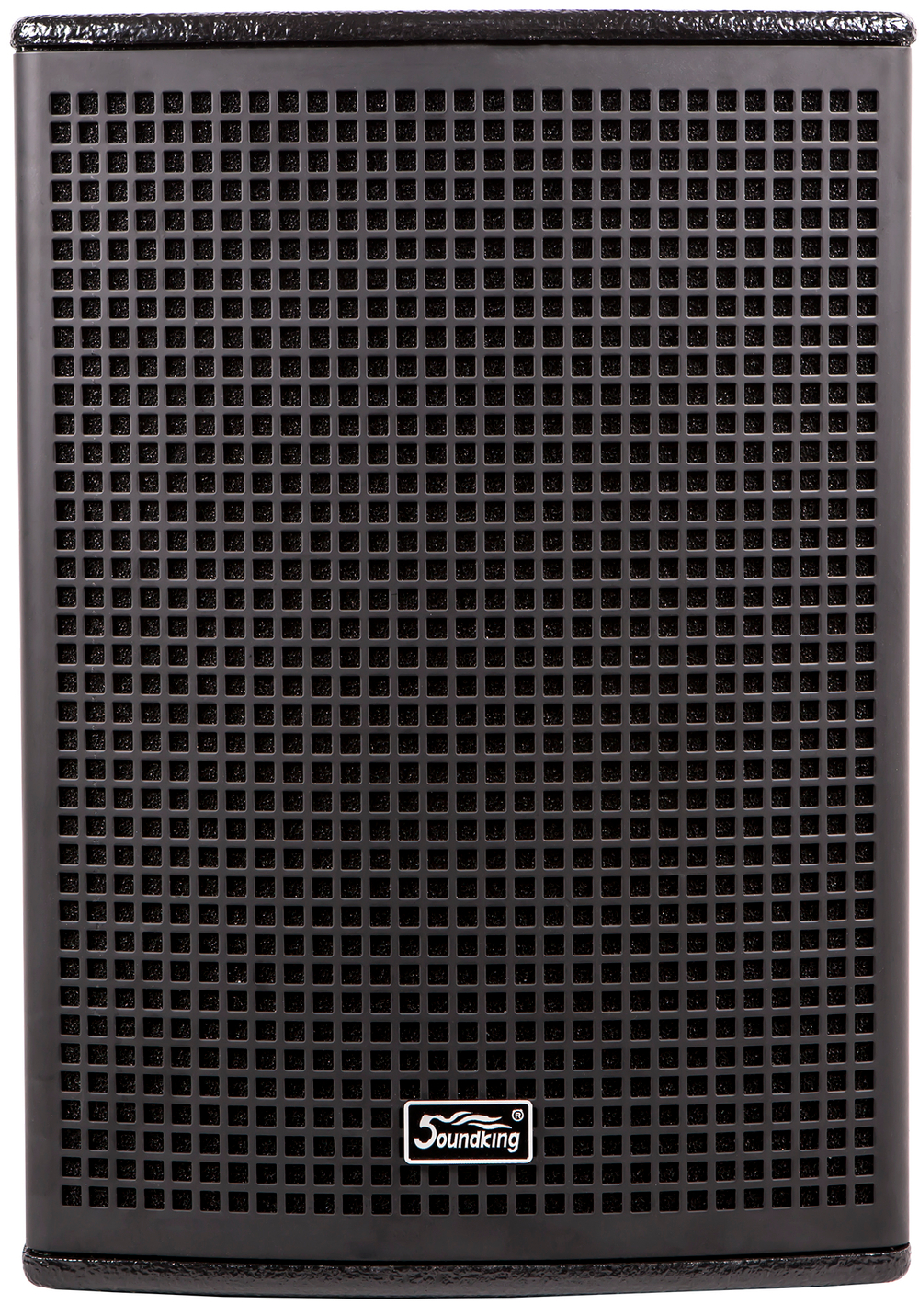 Soundking DLS22