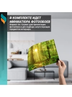 Фотообои на стену Зеленый лес 300х270см