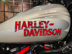 Harley-Davidson CVO Road Glide ST 121 (Mercury Silver) 2025 с НДС