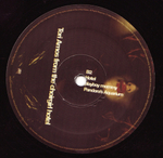 Tori Amos / From The Choirgirl Hotel (2LP)