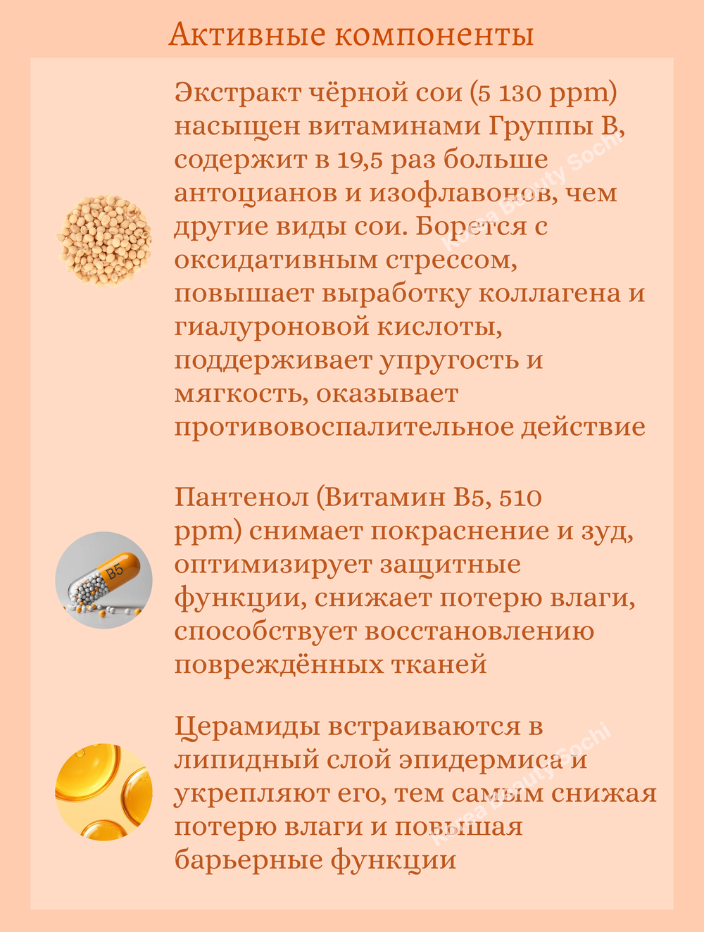 Барьерный тонер с чёрной соей и пантенолом 250 ml Round Lab Soybean Panthenol Toner