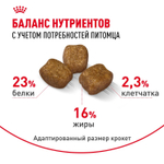 Royal Canin Mini Dental Care Мини Дентал кэа Корм сухой для собак мелких пород против образования зубного камня 3кг
