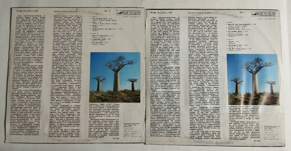 Винтажная виниловая пластинка LP Pink Floyd Delicate Sound Of Thunder (СССР 1990) Рижский Завод