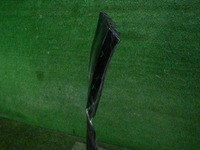 DSCN0578.JPG