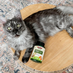 NOW Foods, Pets, омега-3 для собак и кошек, отличный рыбный вкус, 180 мягких таблеток, 252 г (8,9 унции)