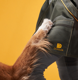 Пояс-юбка дрессировщика DOGLEA Basic
