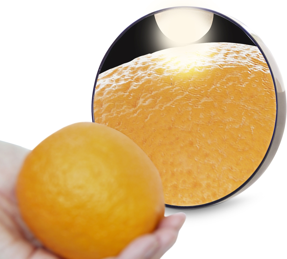 RIO 10x Magnifying Mirror - Увеличивающее зеркало с присосками, 1 szt.