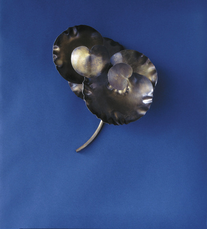 дизайнерский светильник Orche eucalyptus wall light