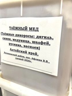 Мёд Таёжный, Алтайский край (кубоконтейнер 16 кг.)