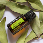 Эфирное масло dōTERRA Лимонный эвкалипт, Lemon eucalyptus, 15 мл