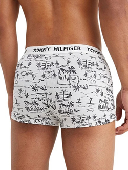 Мужские спортивные боксеры Tommy Hilfiger Trunk Print 1P - greetings white