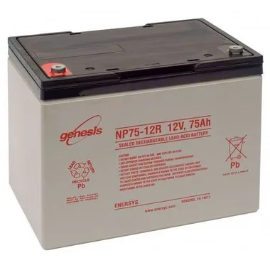 Аккумуляторы EnerSys NP75-12 - фото 1