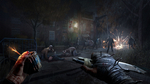 Dying Light: The Beast PS5