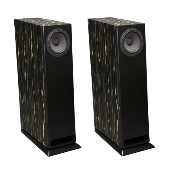 Davis Acoustics MV One Master Ebony