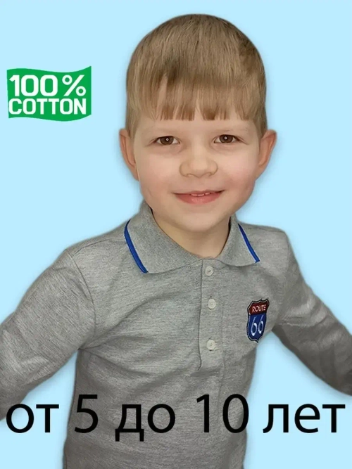 Футболка-поло с длинным рукавом